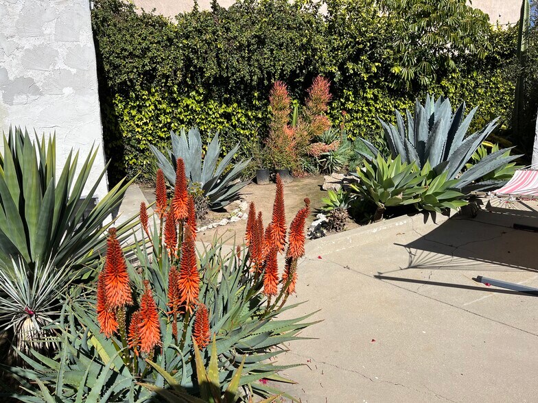 Building Photo - 1040 Prospect Ave