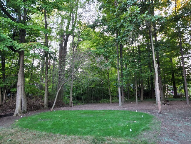 Backyard - 100 Pheasant Trl