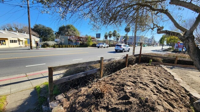 Building Photo - Excellent Location In Sebastopol. Across the street from Handline and Beekind. Commercial Busines...