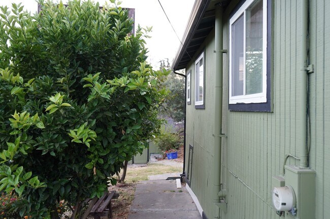 Building Photo - Spacious 3 bedroom, 1 bathroom renovated home