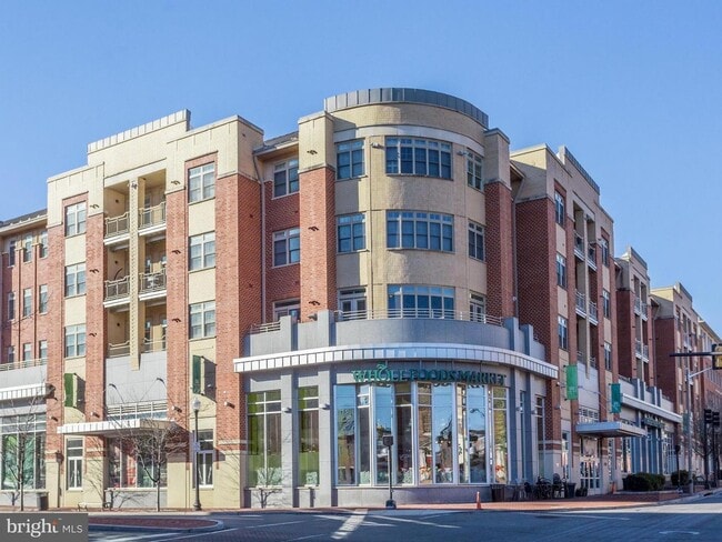 Building Photo - 309 Holland Ln