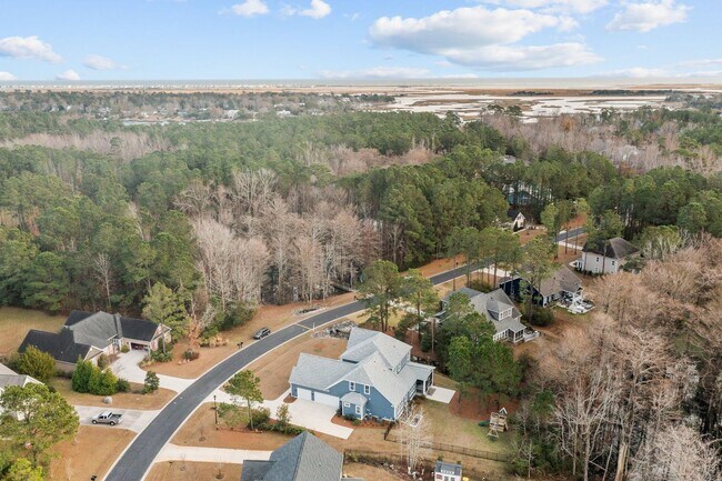 Building Photo - Luxury Home in gated Hampstead Community