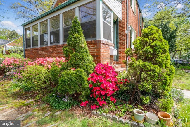 Beautiful garden with flowers and a large fig tree. - 4806 Cherokee St