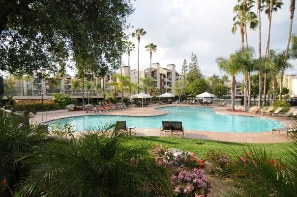 One of the five pools - 5515 Canoga Ave