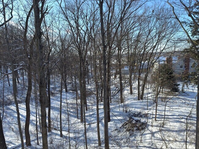 Building Photo - Ground Floor....1 Bed 1 Bath apartment