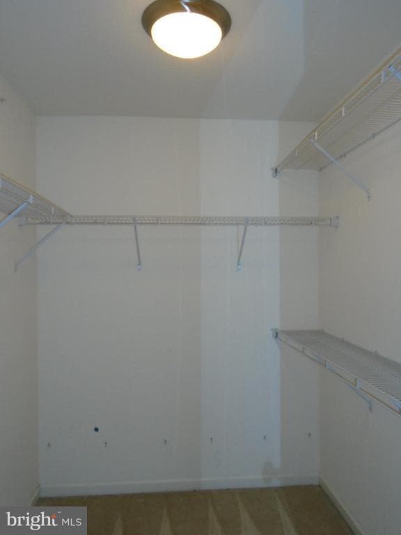 Building Photo - 6515 Dundee Dr