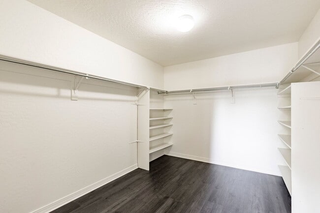 Building Photo - 4 Bed, 2.5 Bath Home in Trailside’s Sun Meadow Neighborhood