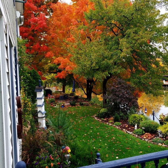 View of Yard with Grill and Fire Pit - 20 Roselawn Ave
