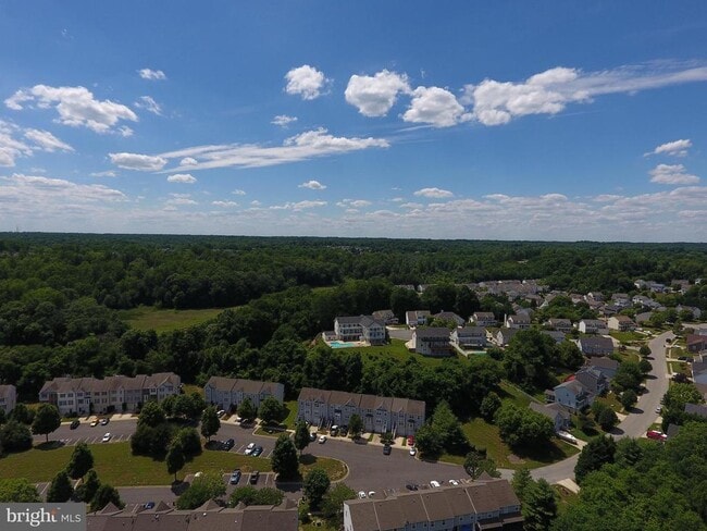 Building Photo - 8000 Delores Ct