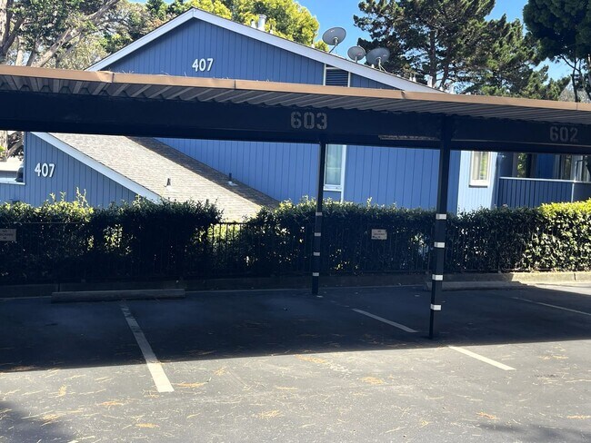 Building Photo - Modern 1st-Floor Studio with Resort Amenities & Prime Location