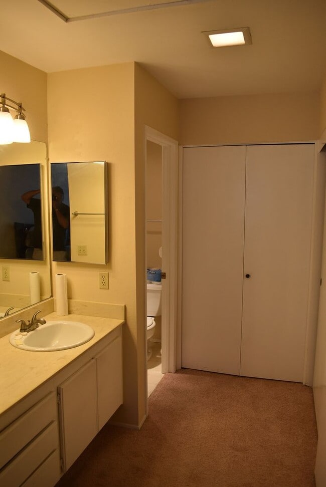 Building Photo - 3 Bedroom 2 Bath Single Story Home- Mesa V...
