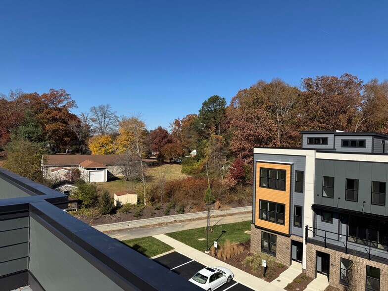 View from Rooftop Terrace - 4406 Dominion Forest Cir