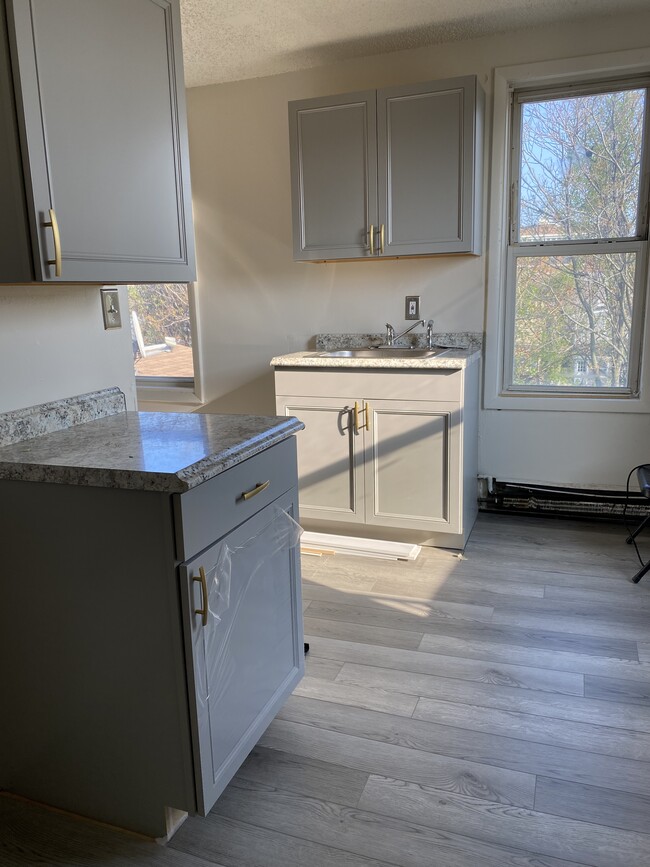 Renovated Kitchen - 217 Hamilton Ave