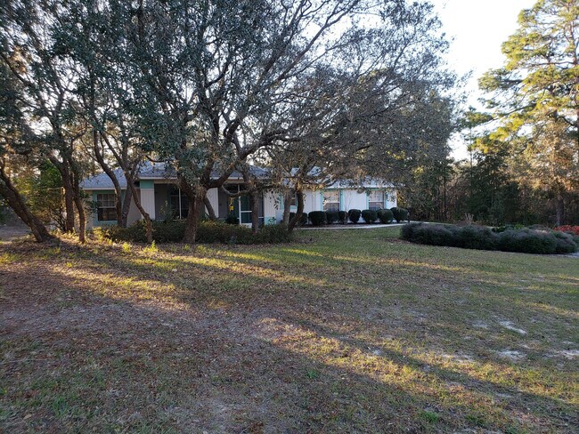 Building Photo - Lovely Pine Ridge Pool Home