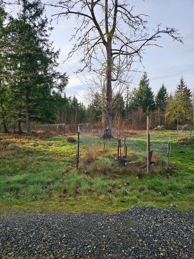 Building Photo - 4 Bedroom Home in Mountain Vista Community!