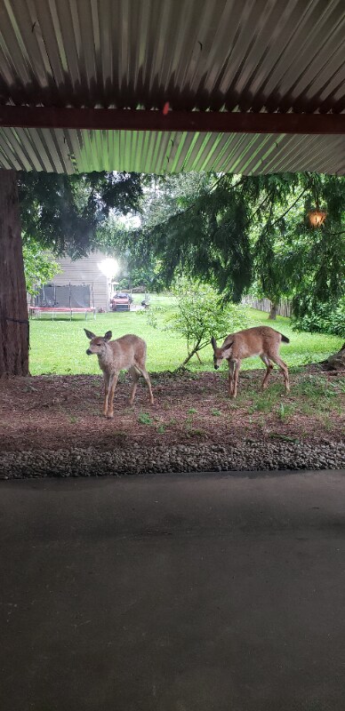 Building Photo - 24302 111th Ave SE