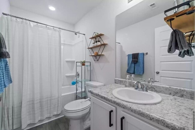 Building Photo - Beautiful, newly built 3-bedroom in South Walton