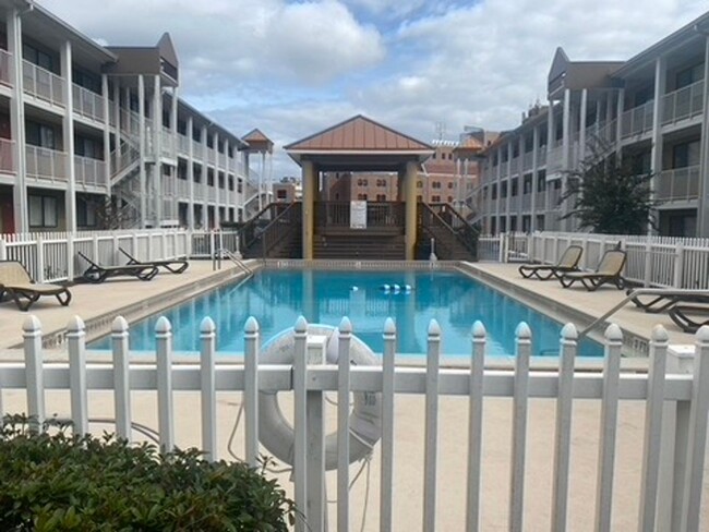 Building Photo - Available February Condo at FSU - Fully Fu...