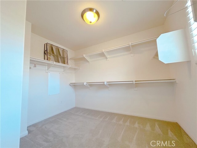 Building Photo - 352 Golden Bear Ln
