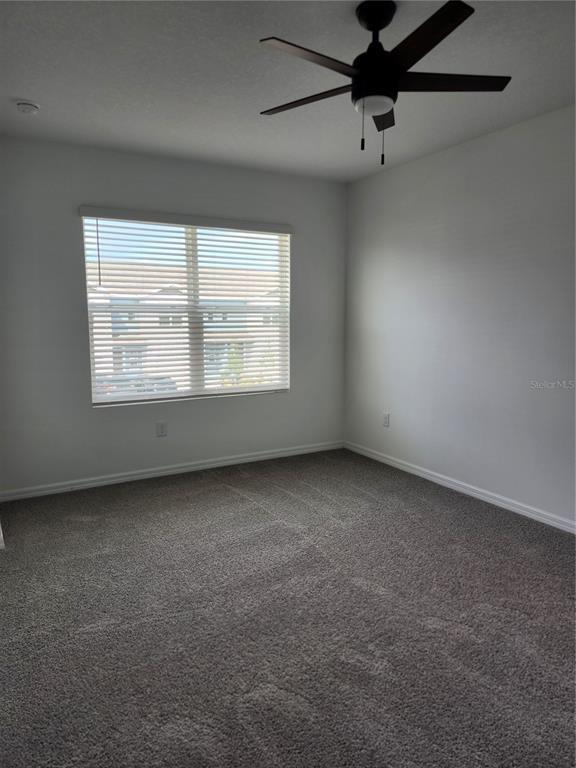 Building Photo - 4431 Rachel Fls Dr