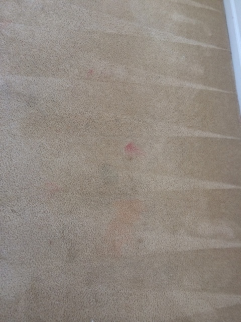 Building Photo - 2328 S Fallbrook Dr