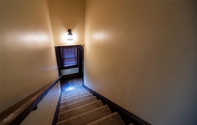 Building Photo - 1632 Mistletoe Blvd