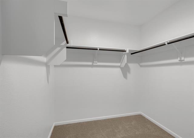 Building Photo - 16617 Porterfield Ln