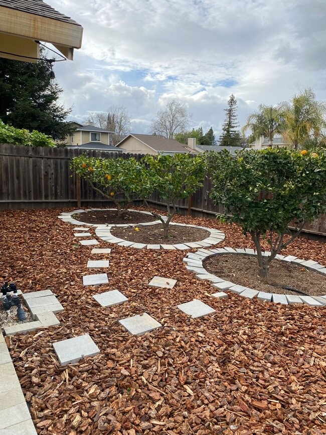 Building Photo - 3 Bedroom / 2 Bath Great Corner Lot in Travis District