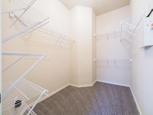 Building Photo - 3822 Vallarta Ln