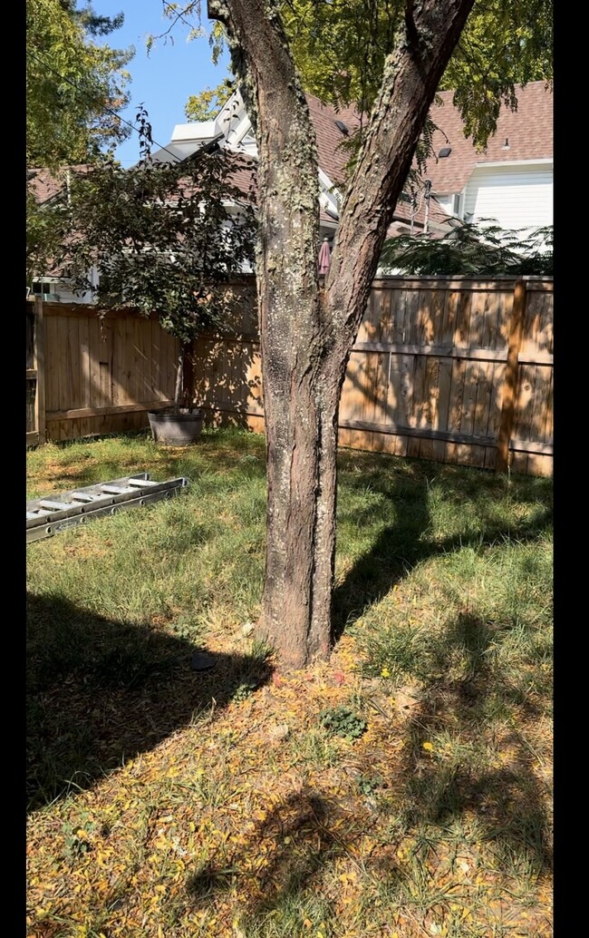 Fenced Backyard - 1041 Lawrence St