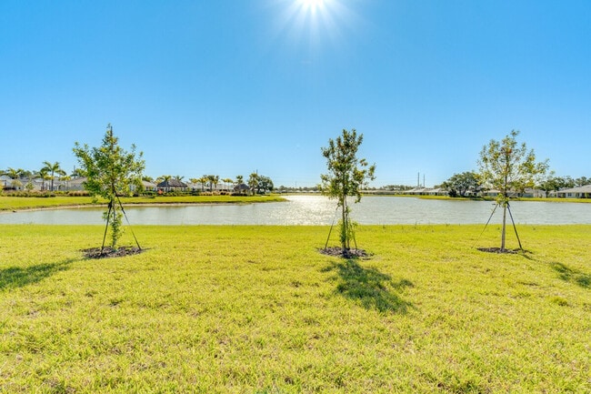 Building Photo - 217 Ibiza Lp