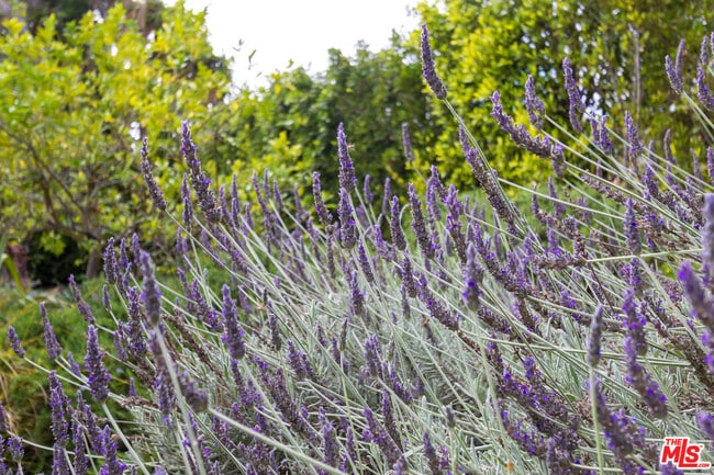 Building Photo - 28929 Wight Rd