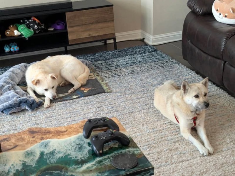 Building Photo - 1605 Arcilla St