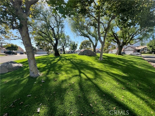 Building Photo - 2248 Tulip Ave