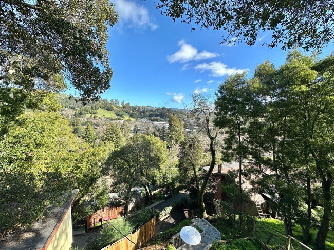 Building Photo - Gorgeous Hillside View, Modern Flat