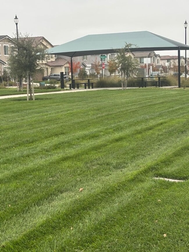 Building Photo - Beautiful Roseville House