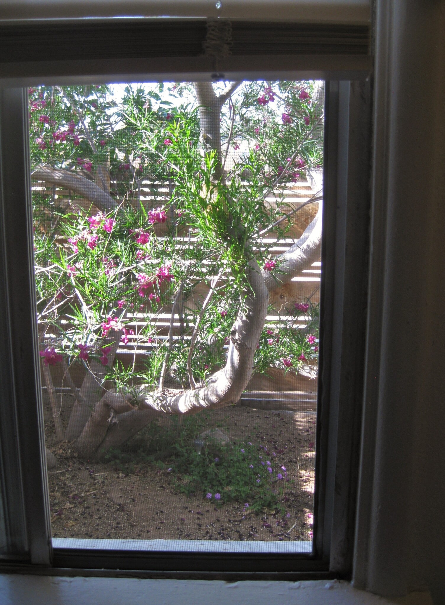 View from window - 6586 Split Rock Ave