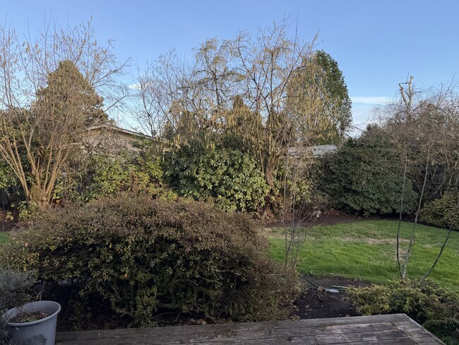 Building Photo - 3525 River Rd