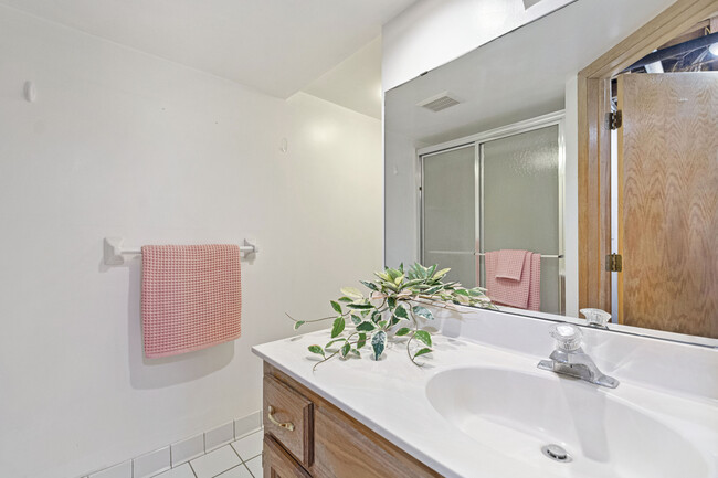 Lower level bathroom with shower. - 3139 Utah Ave S