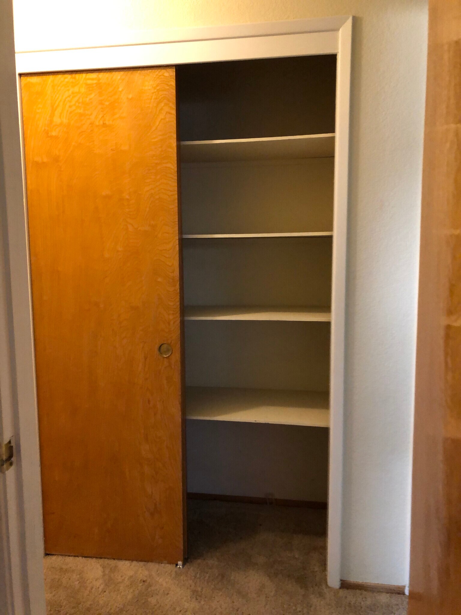 Hall Linen Closet - 133 Kirk Ave