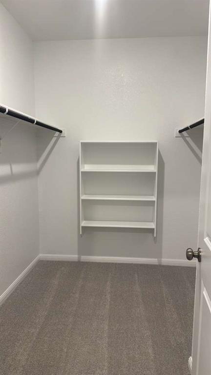 Building Photo - 444 Breccia Trl