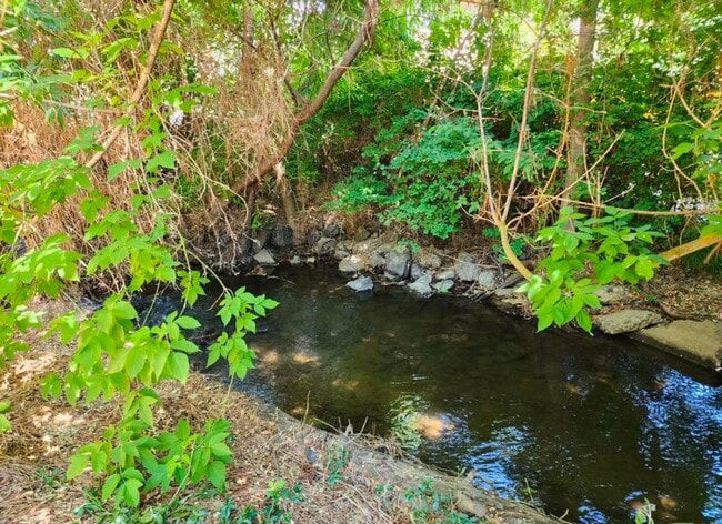 Building Photo - Renovated In-Town Home with Creek & Garage