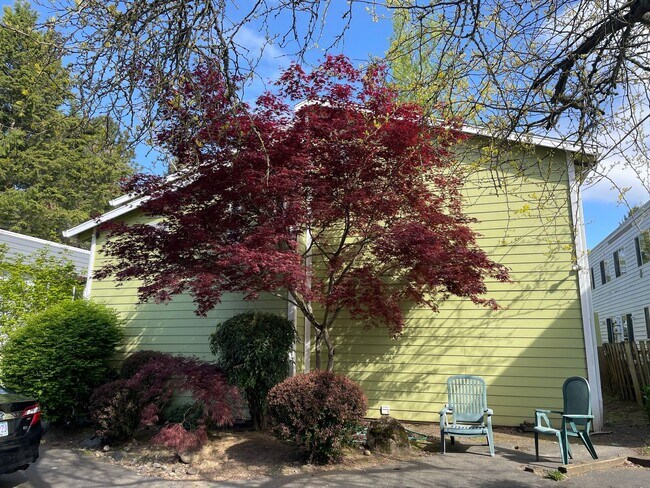 Building Photo - Upper 1bed, off street parking, onsite coin op laundry, storage, all dogs welcome!