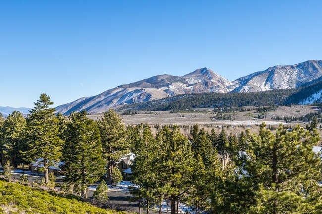 Building Photo - Mountain View Haven