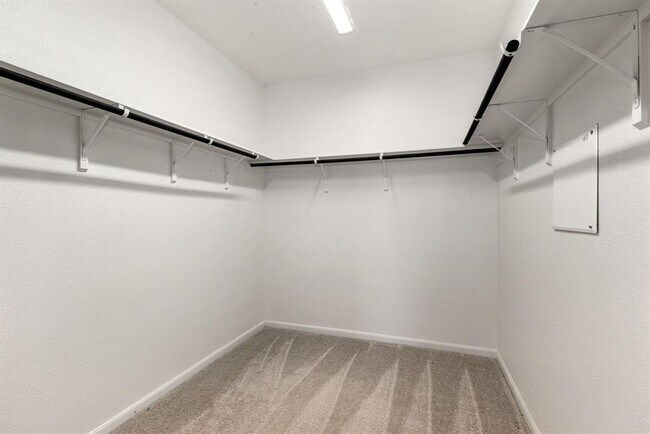 Building Photo - 2715 Chestnut Oak Cir