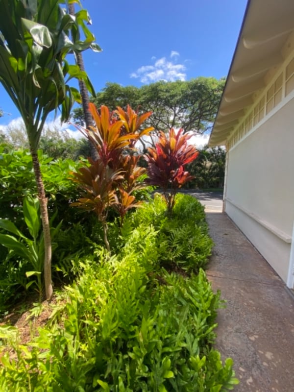 Building Photo - 92-1001 Aliinui Dr