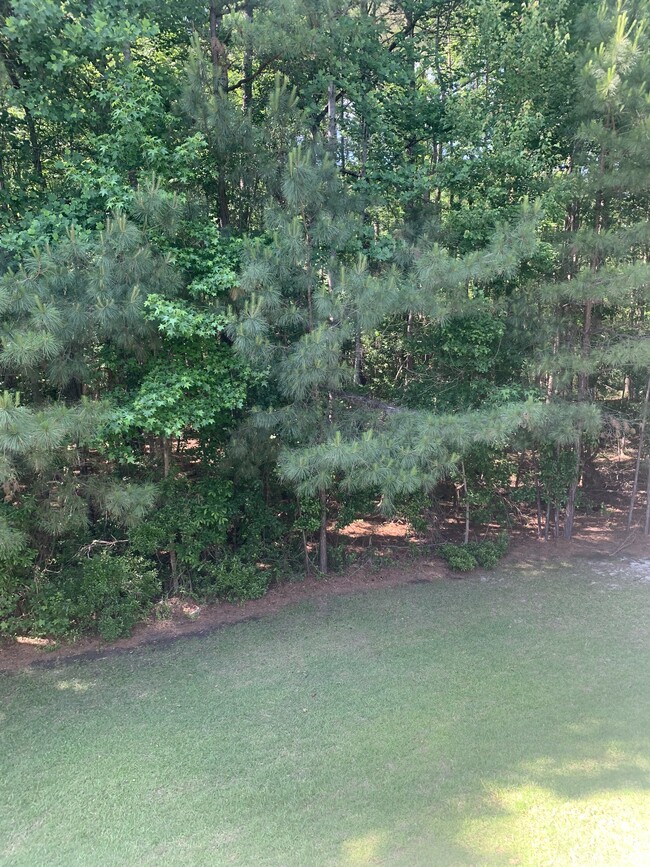 Balcony Views - 532 Lionshead Rd