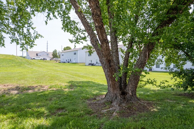 Building Photo - 3504 Delmar Ct
