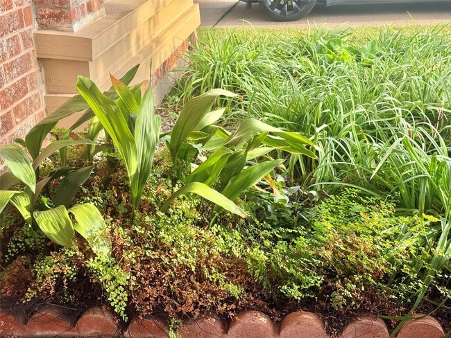 Building Photo - 2934 Field Line Dr