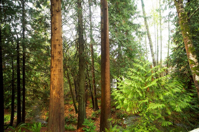 Building Photo - 1114 Pawnee Ln